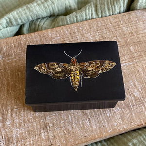 3" Hawk Moth Black Soap Stone Trinket-Jewelry Box