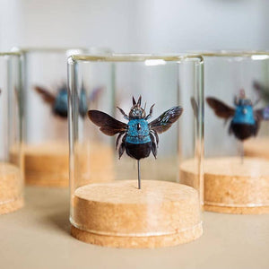 Rainbow Woodborer Beetle Globe