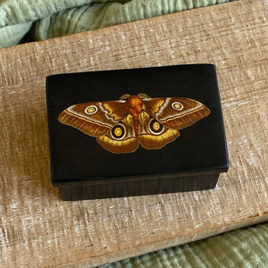 3" Emperor Moth Black Soapstone Trinket-Jewelry Box