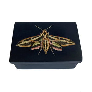 3" Sphinx Moth Black Soapstone Trinket-Jewelry Box