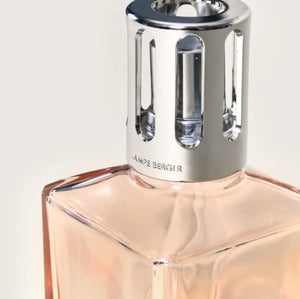 Blush & Spice - Blush Beige Carrée Fragrance Lamp Gift Set with Full-sized Winter Joy