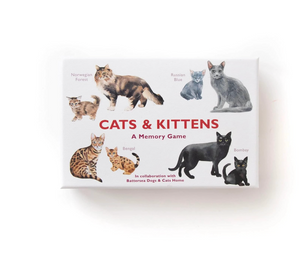 Cats & Kittens: A Memory Game