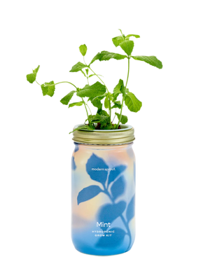 Garden Jar MINT