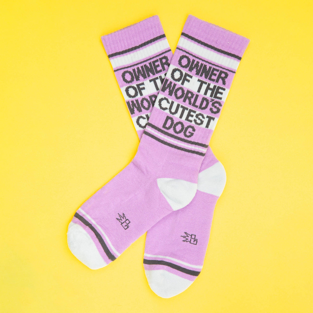 Owner Of The World&#39;s Cutest Dog Gym Crew Socks