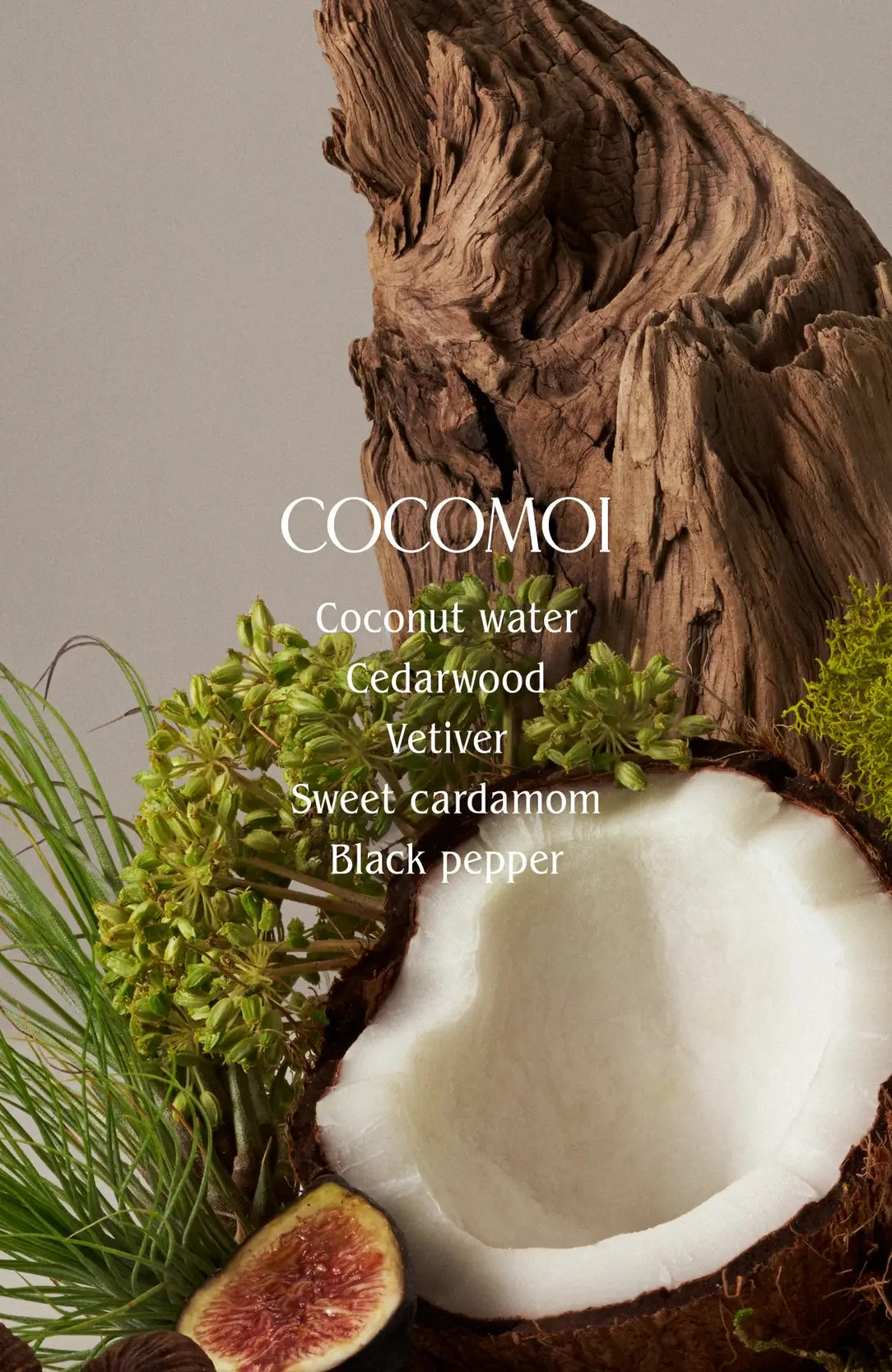 Cocomoi Body Butter | Half Case