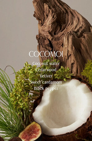 Cocomoi Body Butter | Half Case