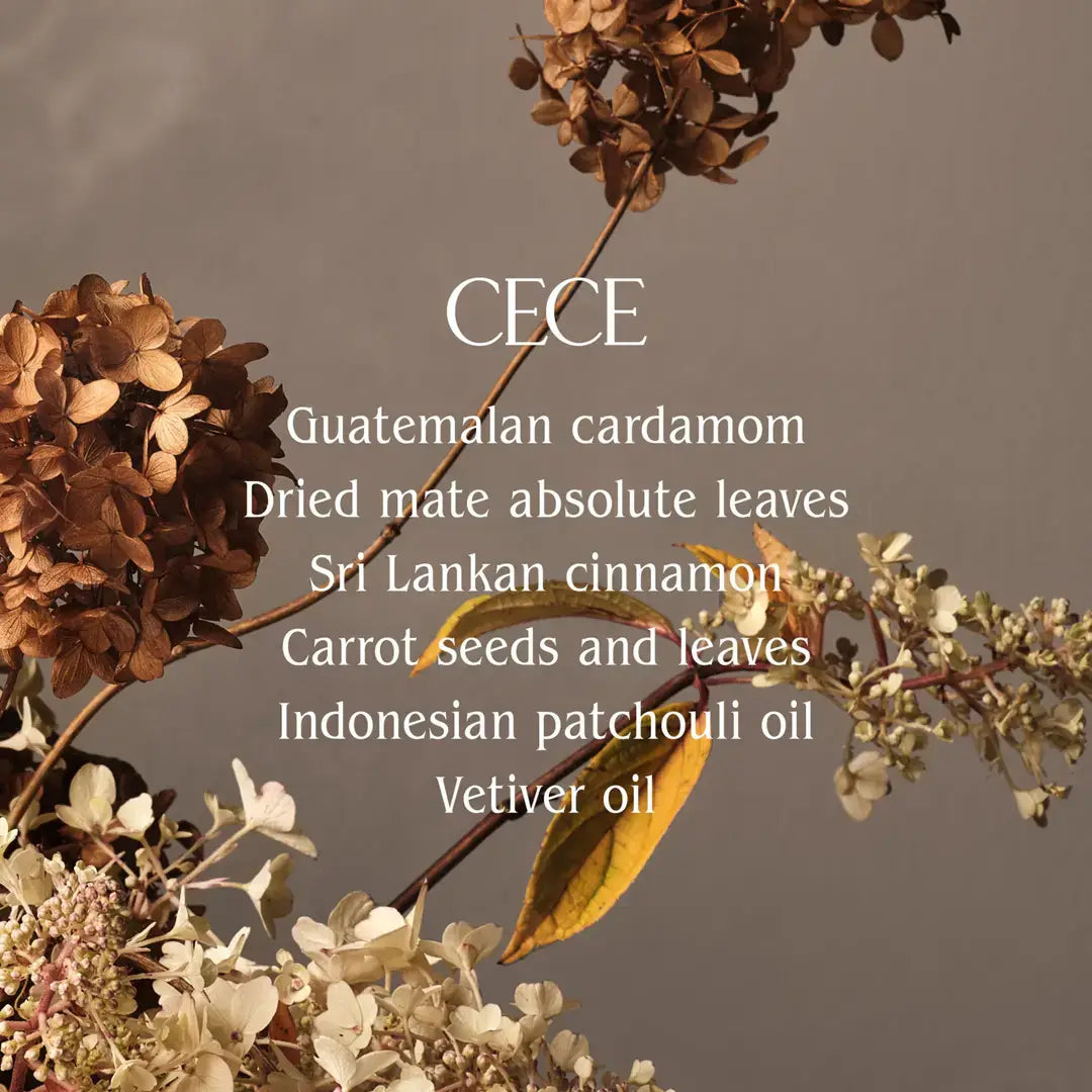 Cece Body Mist | Half Case