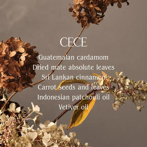 Cece Body Mist | Half Case
