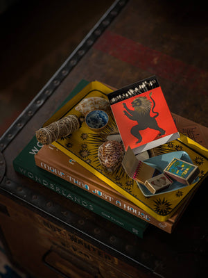 Lion Matches | Square - Safety Matches