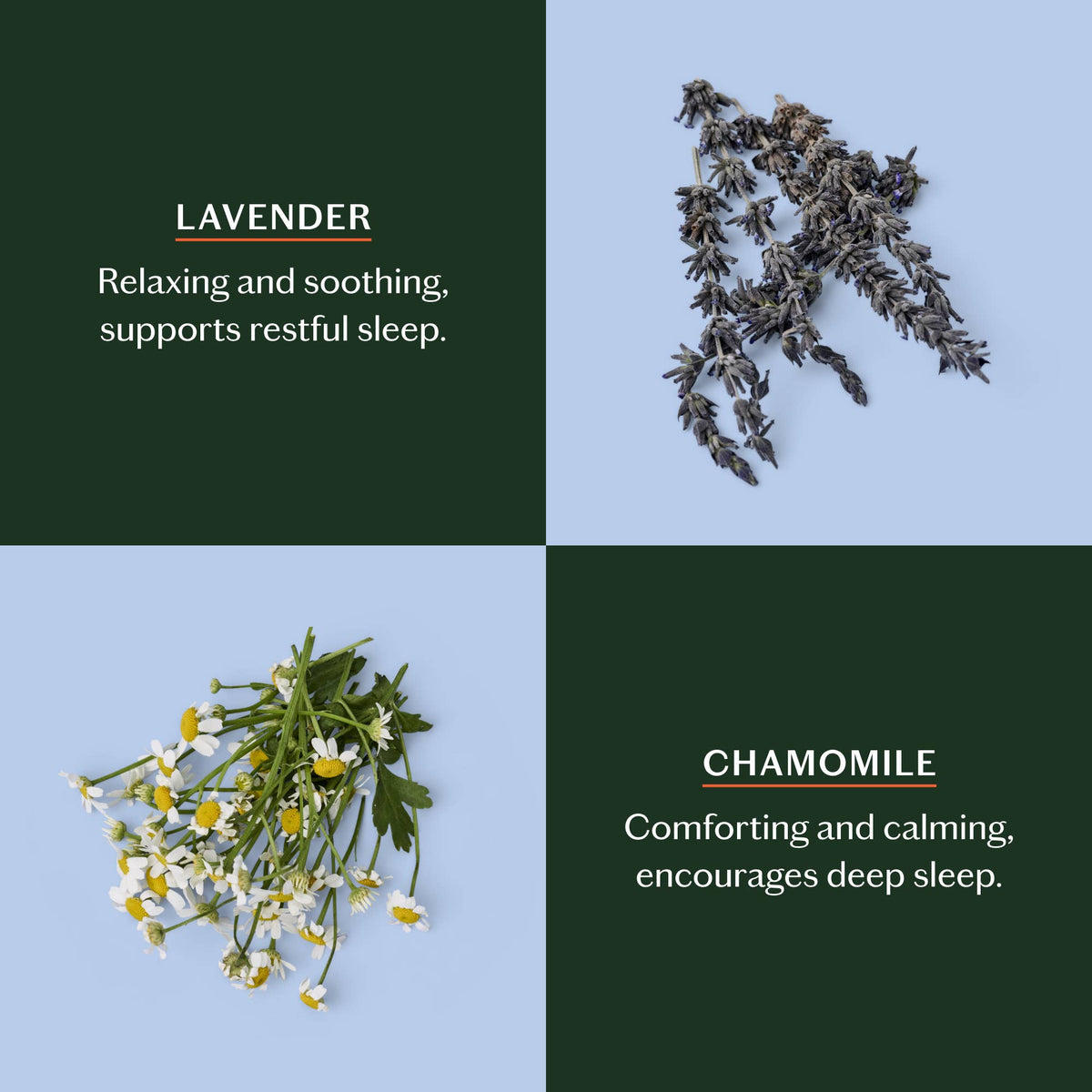 Sleep Stone | Deep Moisturizing Lotion Bar