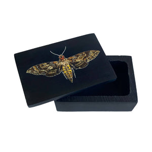 3" Hawk Moth Black Soap Stone Trinket-Jewelry Box