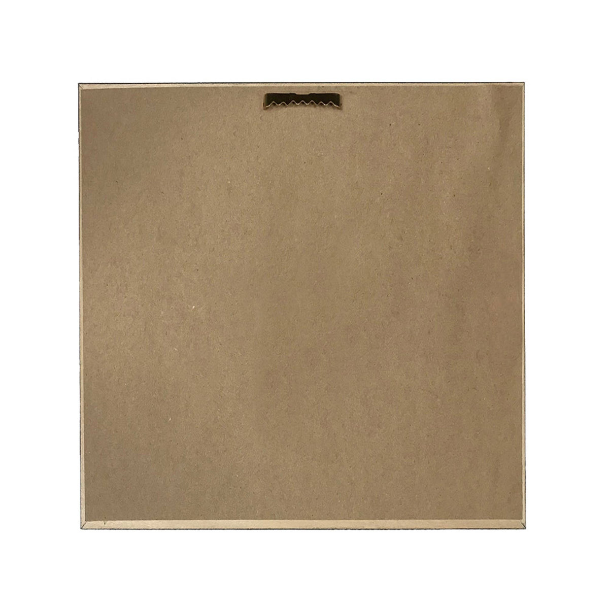 Vintage Style Peacock Framed Print Behind Glass