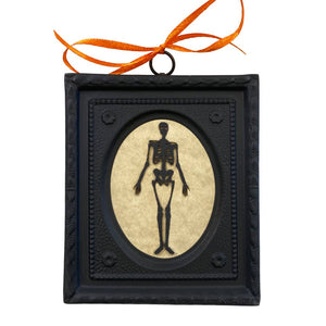 3D Skeleton Silhouette in 4-1/2" Black Embossed Brass Frame