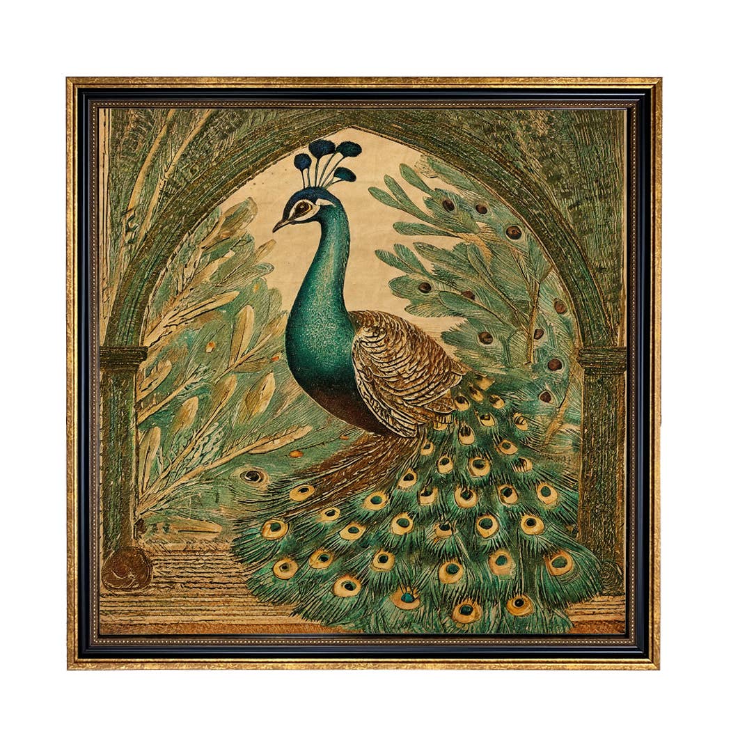 Vintage Style Peacock Framed Print Behind Glass