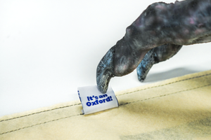 Stay Weird Camp Flag