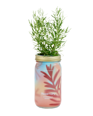 Garden Jar ROSEMARY