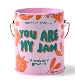 Color Grow Kit-You're my jam