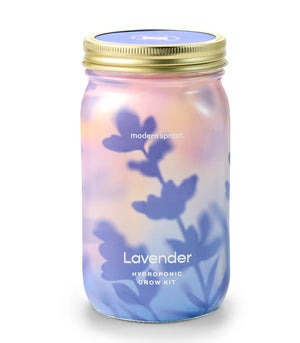 Garden Jar LAVENDER