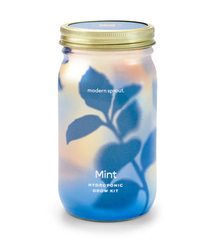 Garden Jar MINT