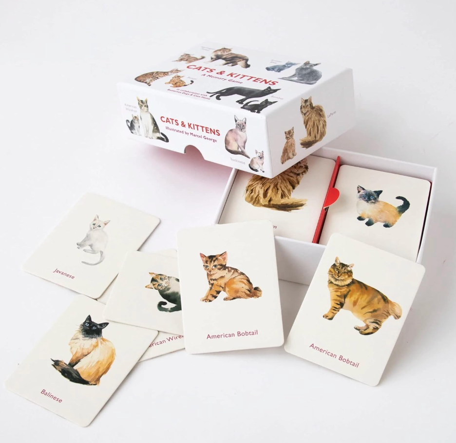 Cats &amp; Kittens: A Memory Game