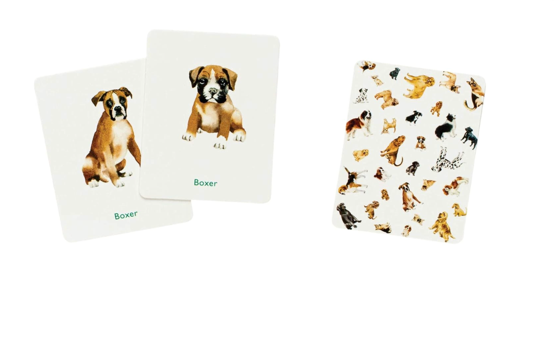 Dogs &amp; Puppies: A Memory Game