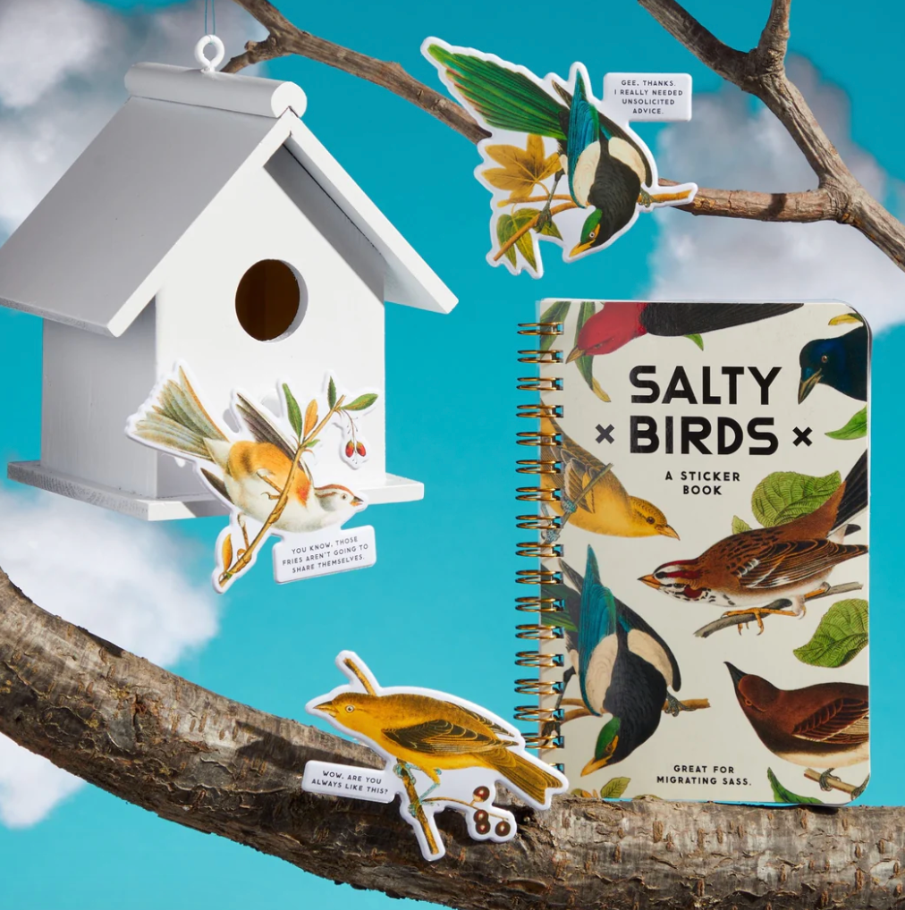 Salty Birds Sticker Book