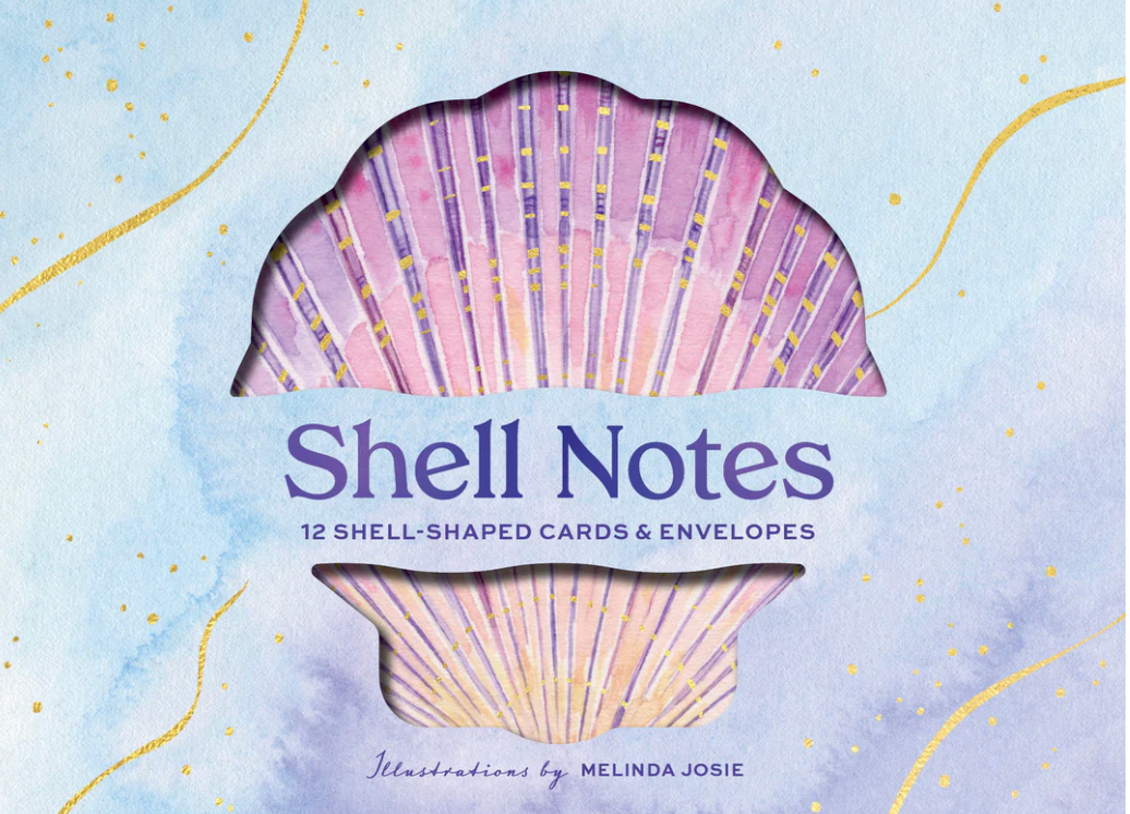 Shell Notes 12 Shell-Shaped Cards &amp; Envelopes