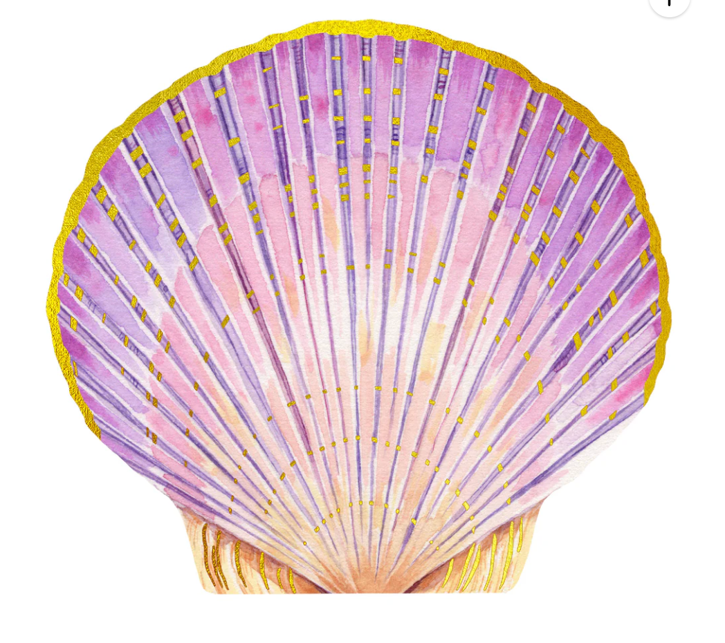 Shell Notes 12 Shell-Shaped Cards &amp; Envelopes