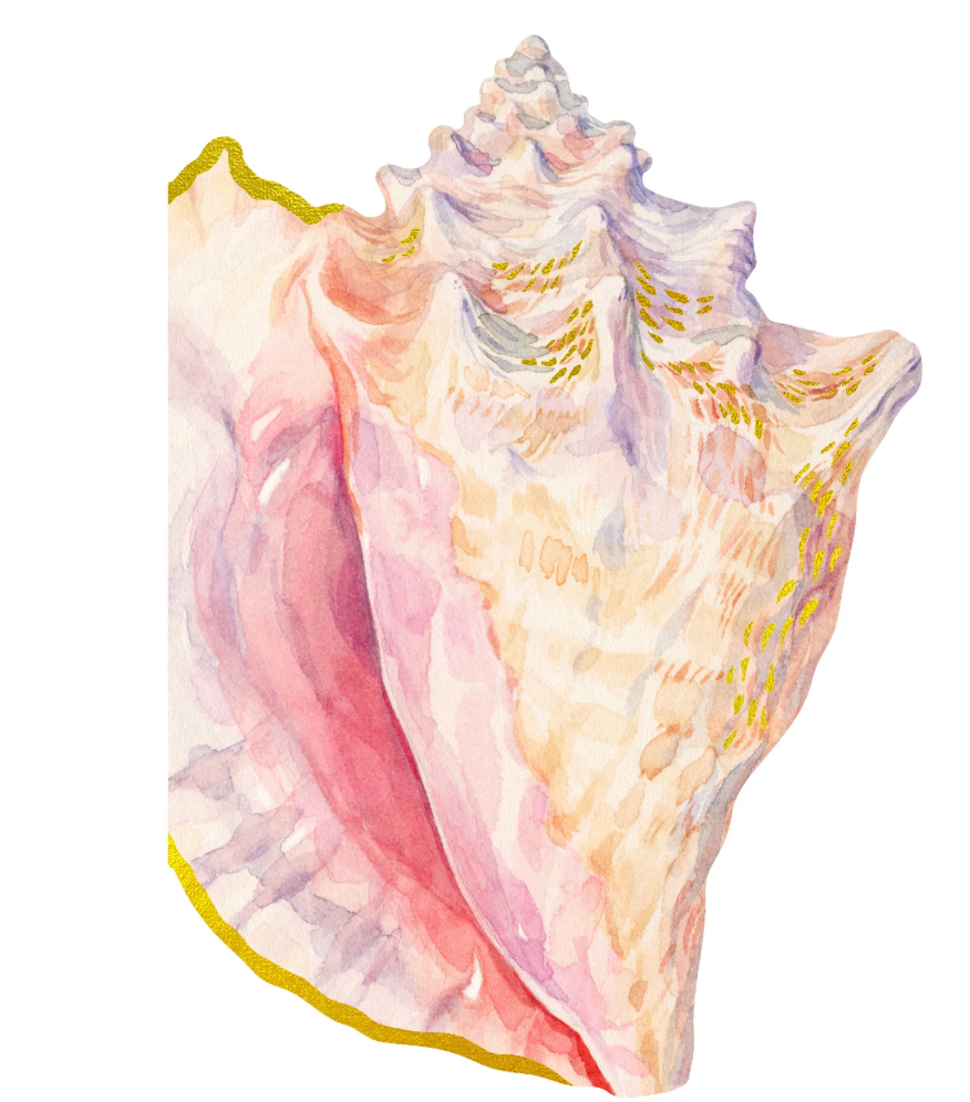 Shell Notes 12 Shell-Shaped Cards &amp; Envelopes