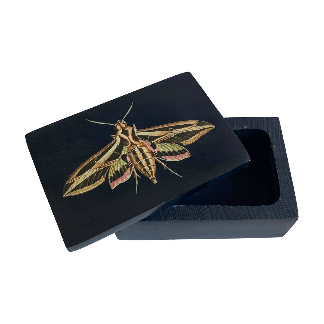 3&quot; Sphinx Moth Black Soapstone Trinket-Jewelry Box
