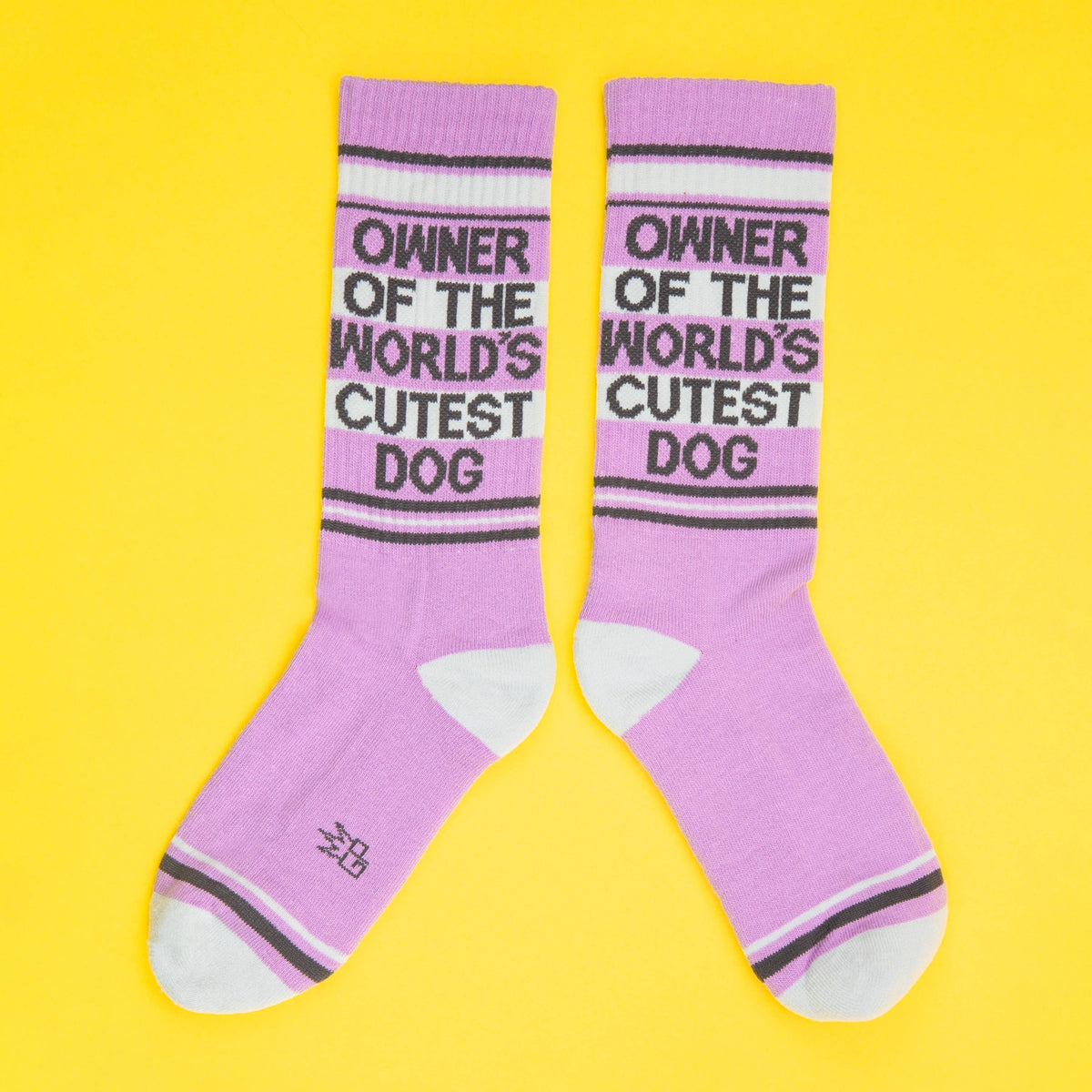 Owner Of The World&#39;s Cutest Dog Gym Crew Socks