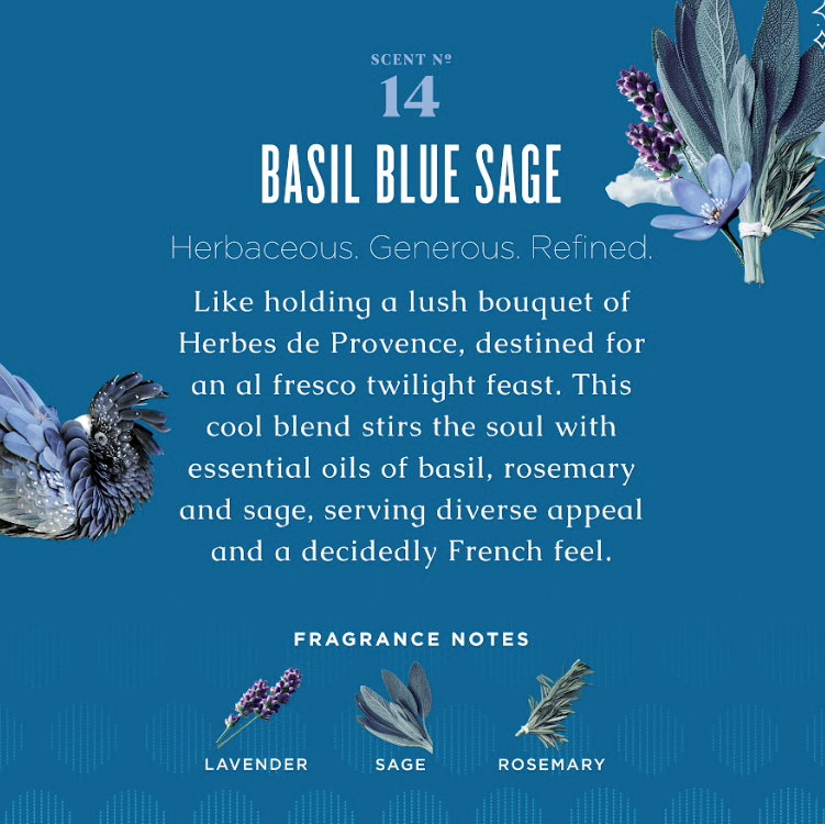 Basil Blue Sage Hand Soap with Aloe Vera &amp; Olive Oil