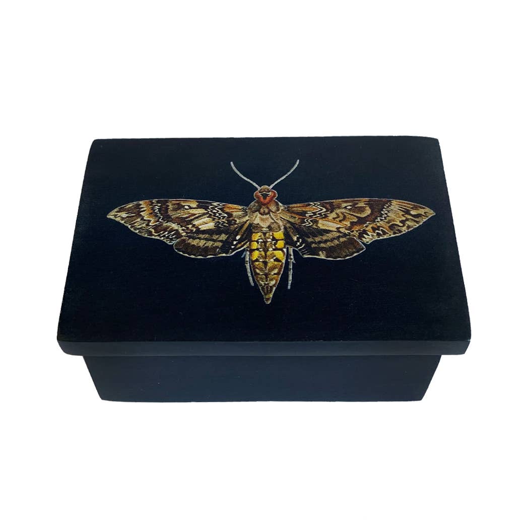 3&quot; Hawk Moth Black Soap Stone Trinket-Jewelry Box