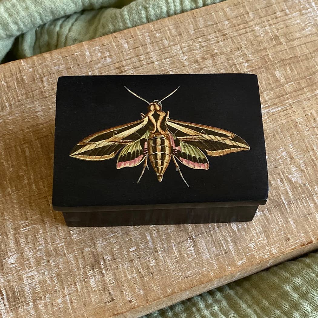 3&quot; Sphinx Moth Black Soapstone Trinket-Jewelry Box