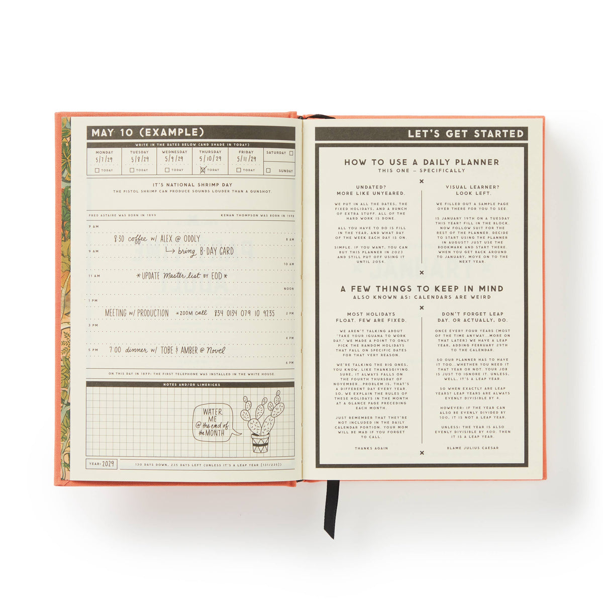 Brass Monkey Part-Time Adult Undated Daily Planner
