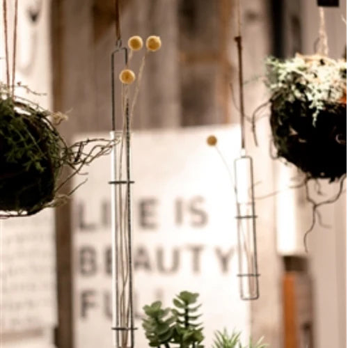 Hanging Glass Tube Vase